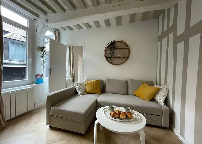 Le Logis Du Gros Horloge - Cosy Et Douillet Апартаменты *